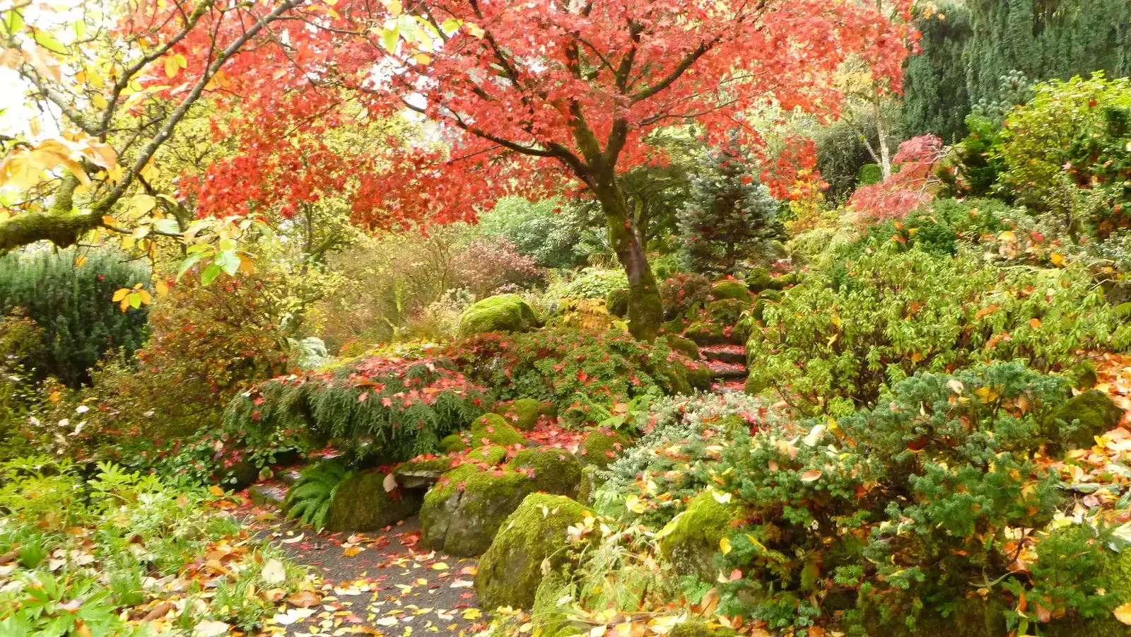 7. Portland, Oregon (P1010598, CC BY-SA 2.0)