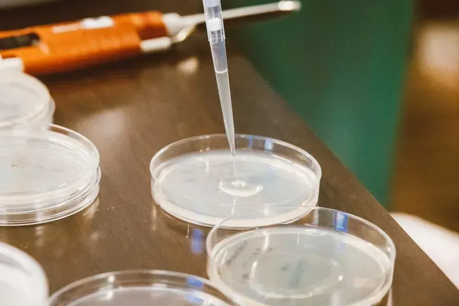 8. Pipetting by mouth or improvising with makeshift tools (Image Credits: Pexels)