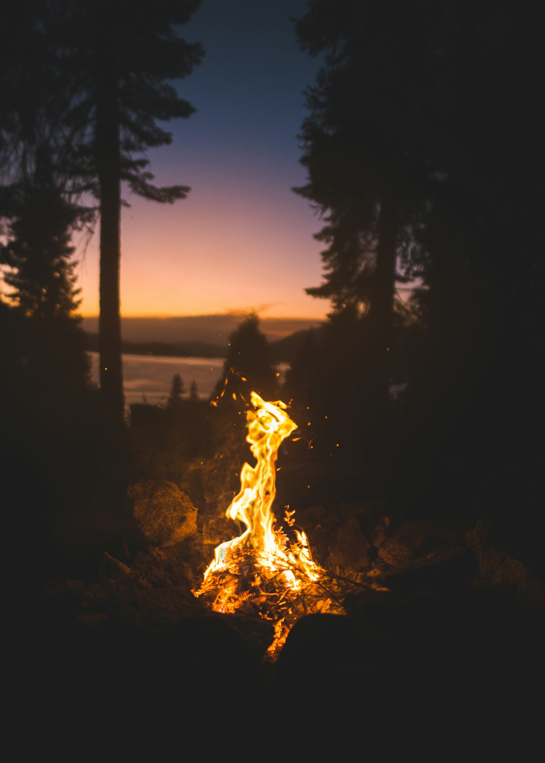 Camp Fire Paradise Evacuations Broke Every Protocol (image credits: unsplash)