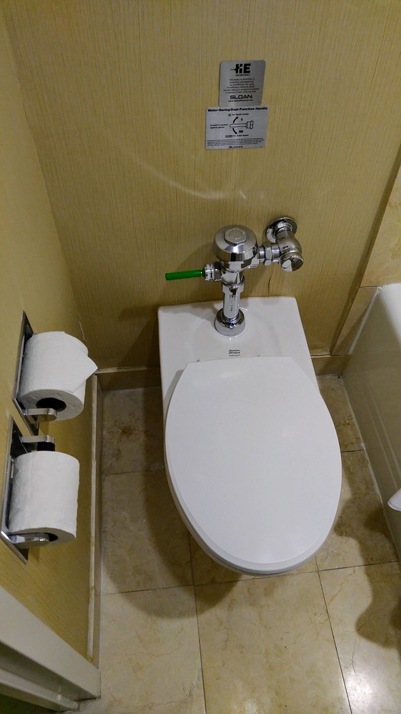 Toilet Replacement Programs Target High-Use Fixtures (image credits: flickr)