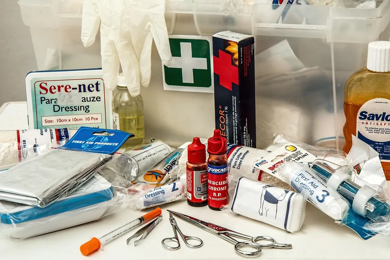 1. They Build a Real Emergency Kit - Not Just a Symbolic One (Image Credits: Pixabay)