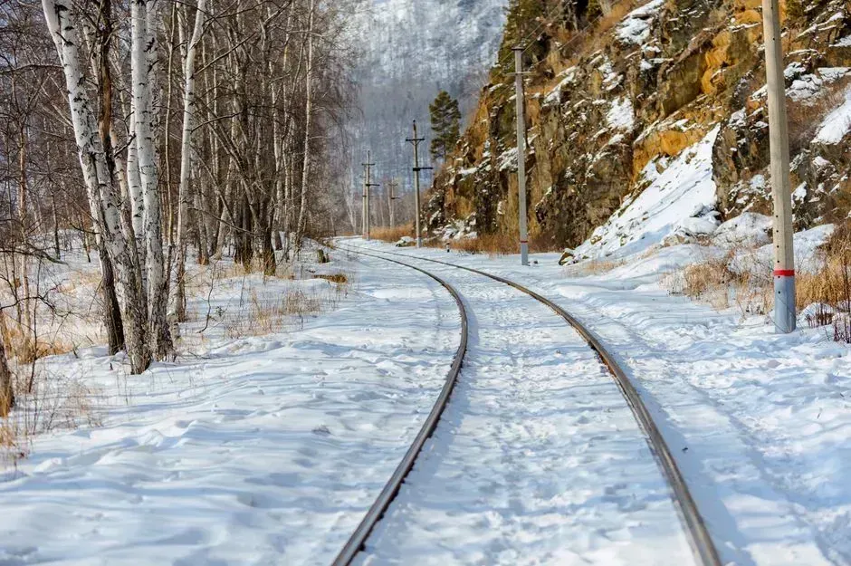 4. Siberian snow cover in autumn (Image Credits: Pexels)