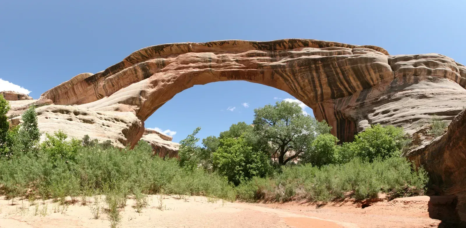 Natural Bridges and the Bears Ears Region, Utah (By Daniel Schwen, CC BY-SA 4.0)
