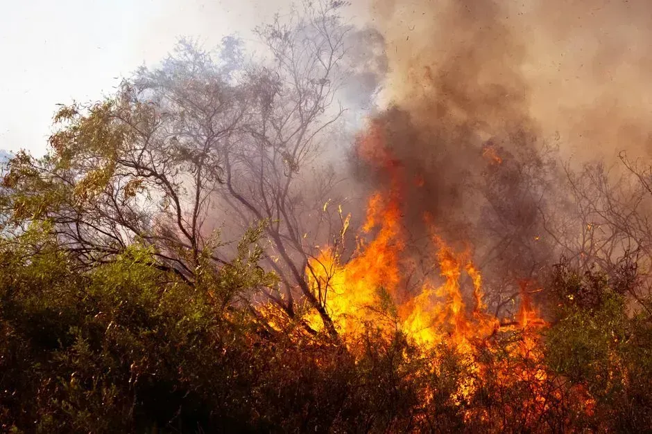 Australia: a wobble between wet and dry extremes (Image Credits: Pexels)