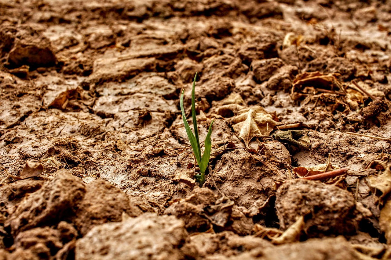 The Verdict on Climate Change (image credits: pixabay)