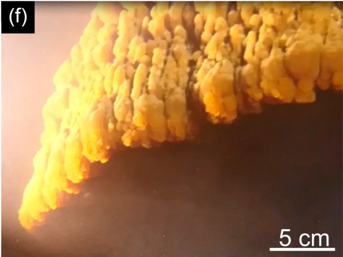 3. Cave Formations Record Rainfall with Startling Precision (Subaqueous speleothems (Hells Bells) formed by the interplay of pelagic redoxcline biogeochemistry and specific hydraulic conditions in the El Zapote sinkhole, Yucatán Peninsula, Mexico, CC BY 4.0)