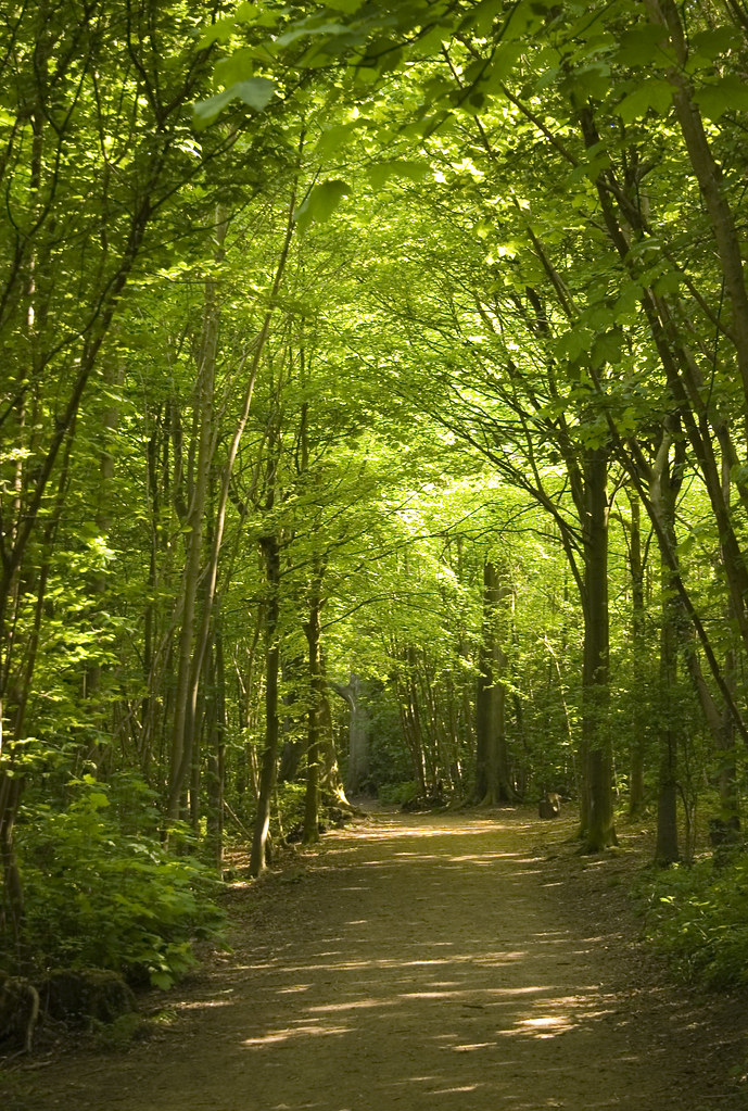 A Natural Climate Solution With Staying Power (image credits: flickr)