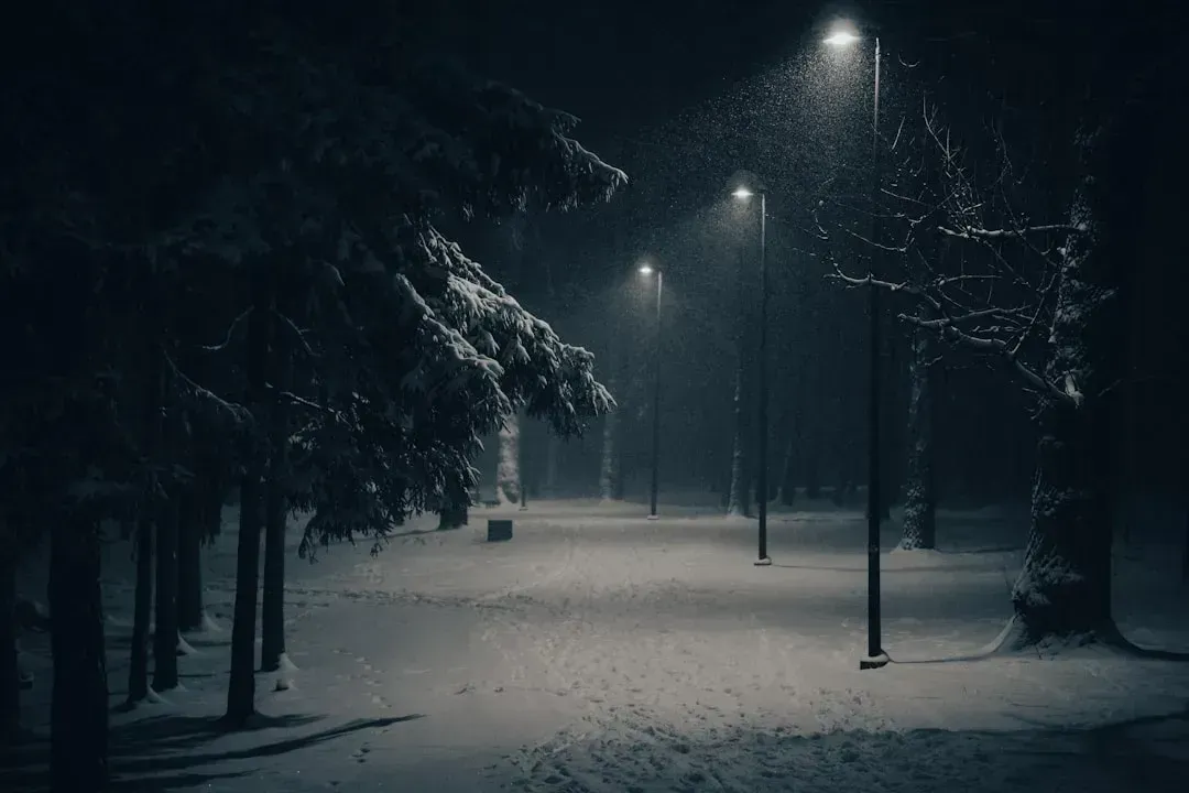 The Mental Weight of Long Dark Winters (Image Credits: Unsplash)