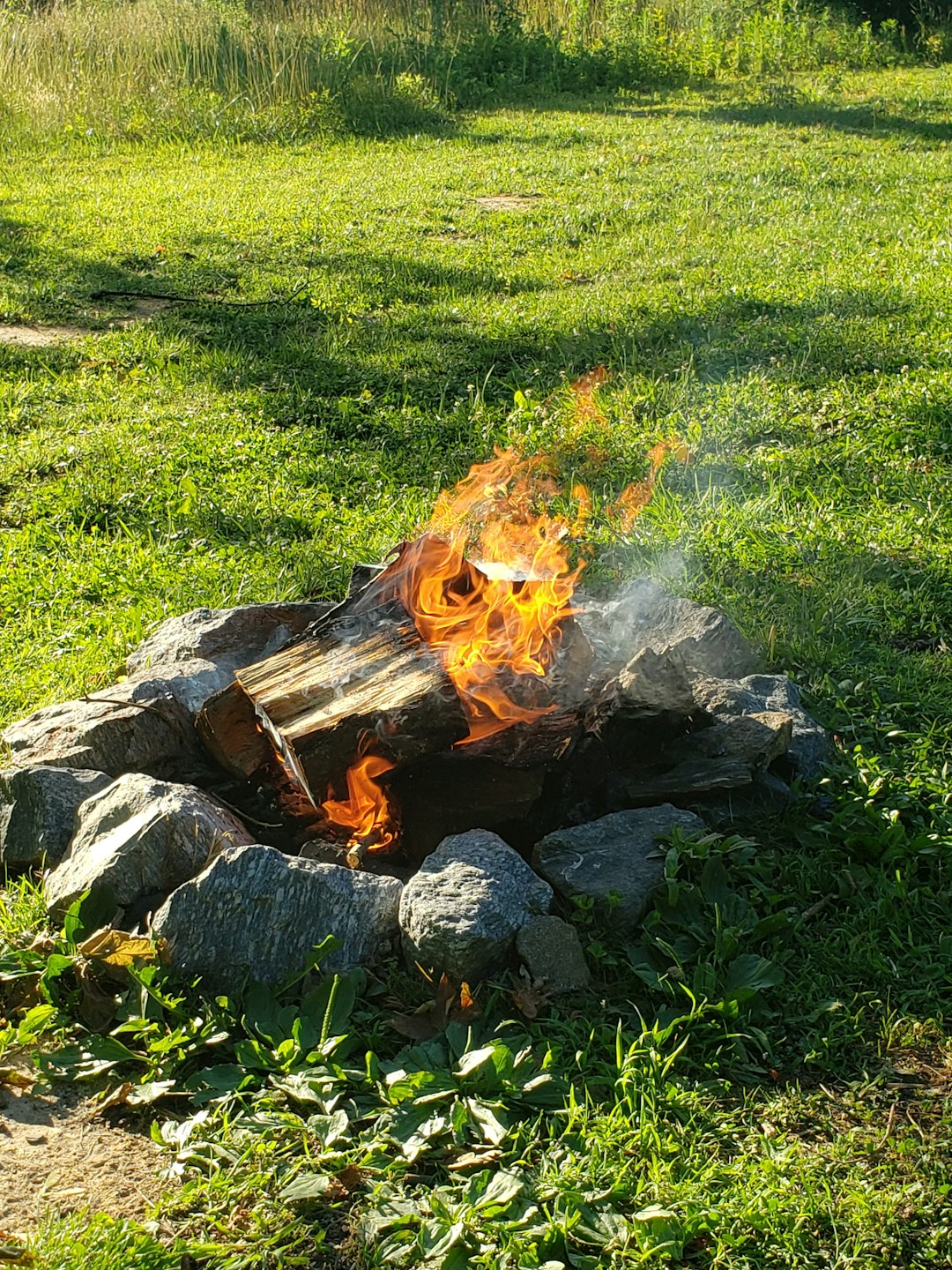 Burning Yard Waste (image credits: unsplash)