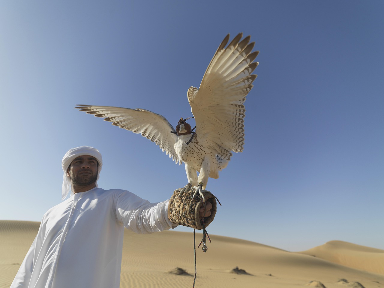 Arabian Desert Holds Vast Oil Reserves (image credits: pixabay)