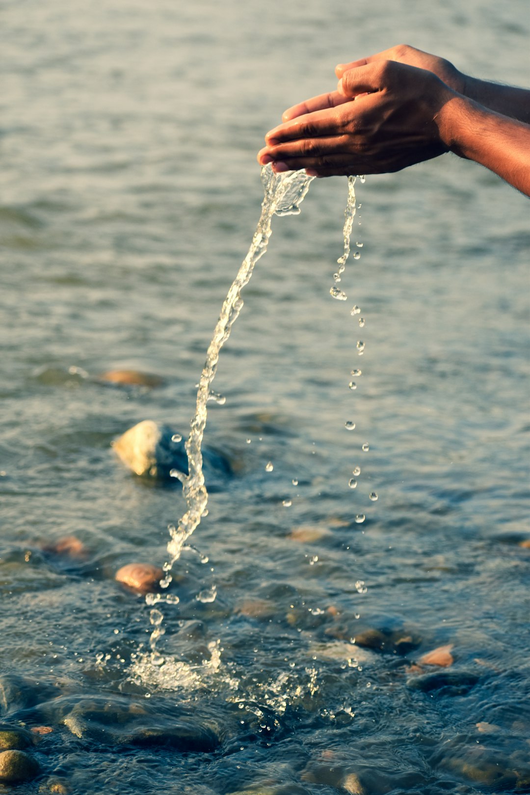 Educational Programs and Community Grants (image credits: unsplash)