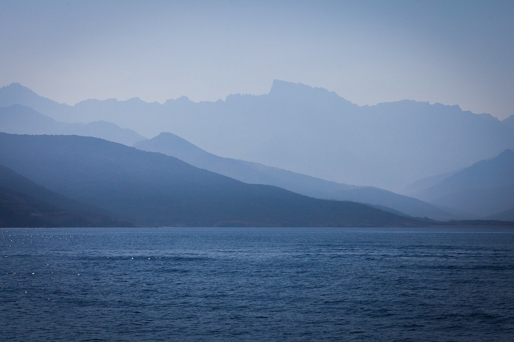 When Protection Creates Prosperity (image credits: flickr)