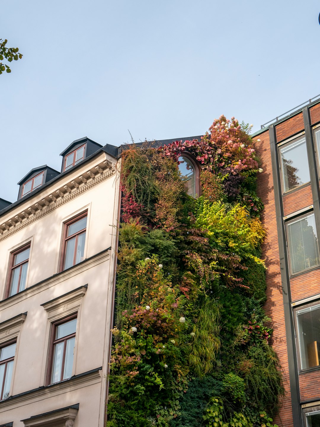 Copenhagen: Cycling Toward Carbon Neutrality (image credits: unsplash)