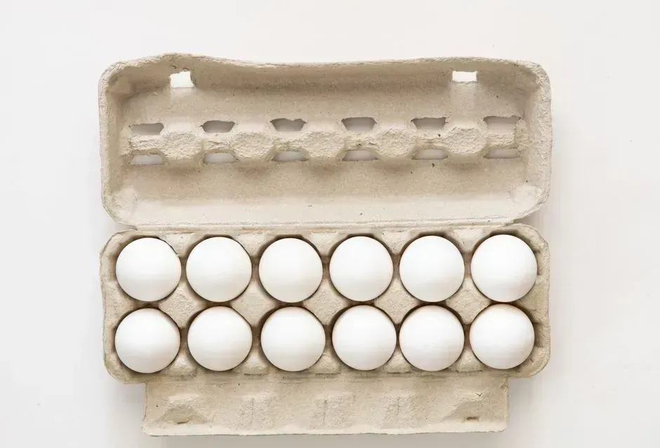 6. Egg cartons (Image Credits: Pexels)