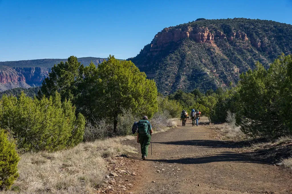 Leaving Marked Trails and Trampling Vegetation (Image Credits: Flickr)