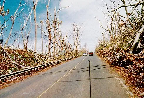 Echoes of Hurricane Iniki weigh on Kauai (Public domain)