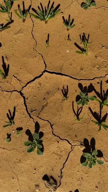 What comes next for the state's water outlook (Image Credits: Pexels)