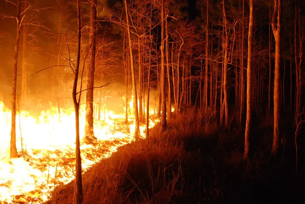 Fire risk followed the dryness east (USFWS/Southeast, Flickr, CC BY 2.0)