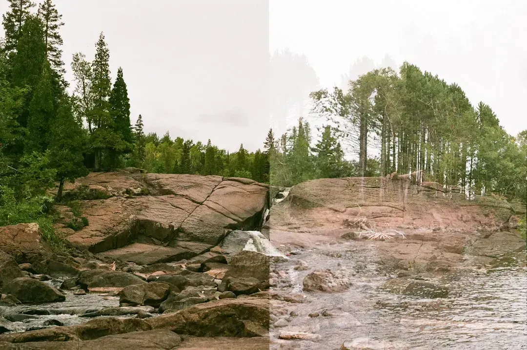 How Minnesota's numbers compare to the rest of the country (Image Credits: Unsplash)
