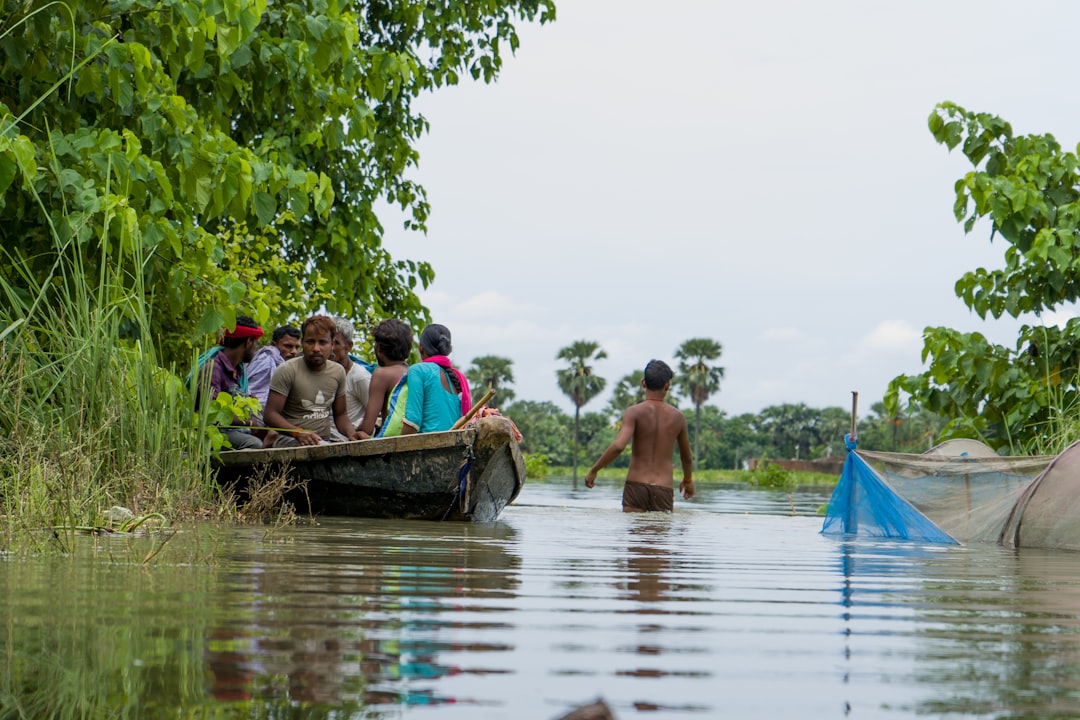 Climate Change Disrupts Ancient Patterns (image credits: unsplash)