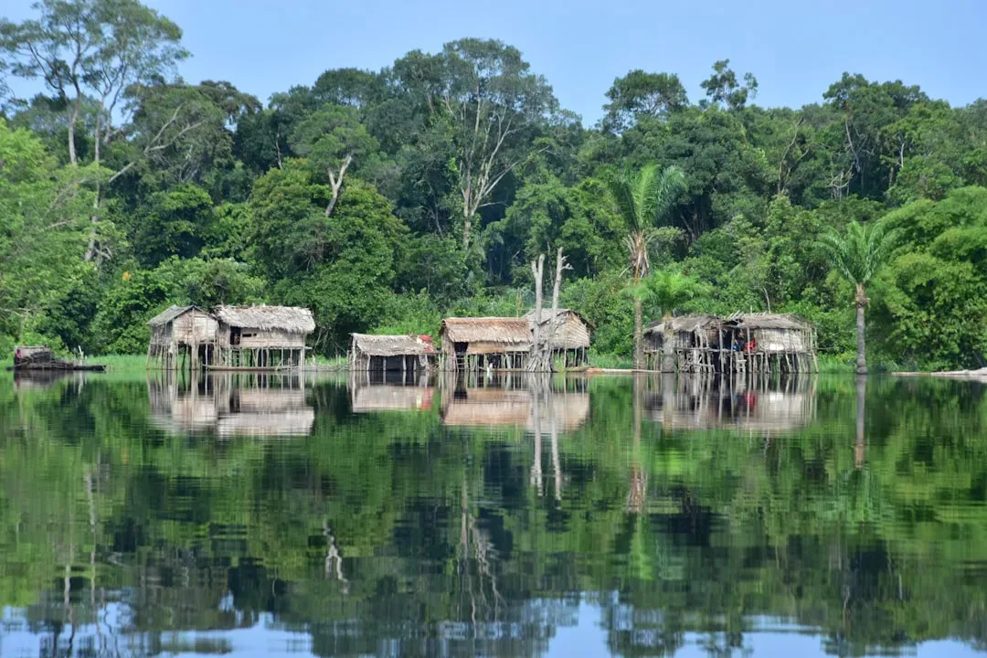 2. The Congo Basin Rainforest (Image Credits: Unsplash)