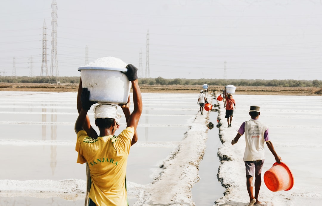 When Farmers Queue for Water (image credits: unsplash)