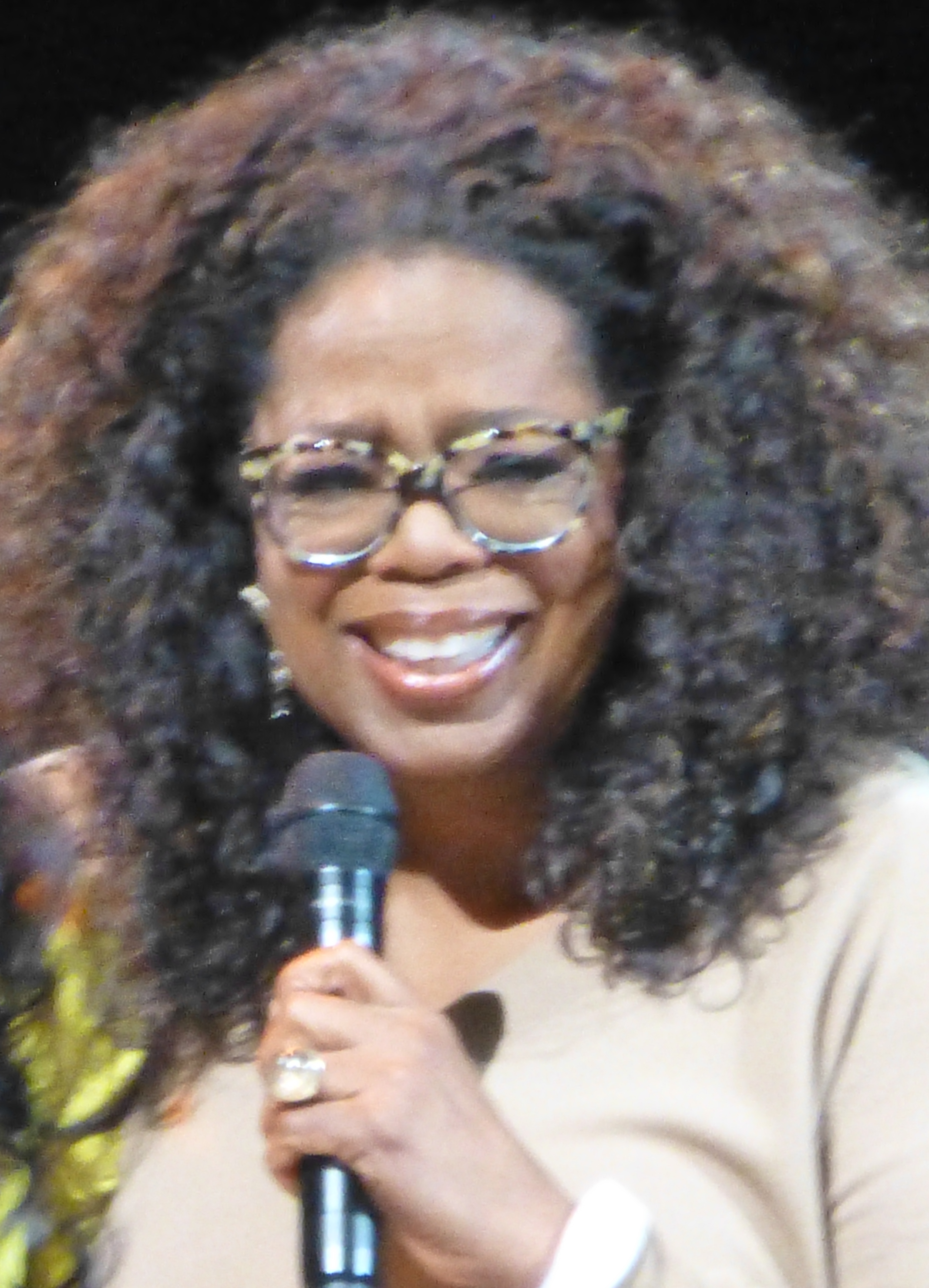 Celebrity Assistance and Community Response (image credits: P1110360, CC BY 2.0, https://commons.wikimedia.org/w/index.php?curid=38059979)
