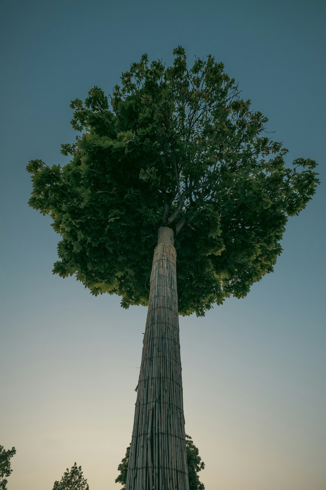 Revolutionary Discovery in Samburu County (image credits: unsplash)