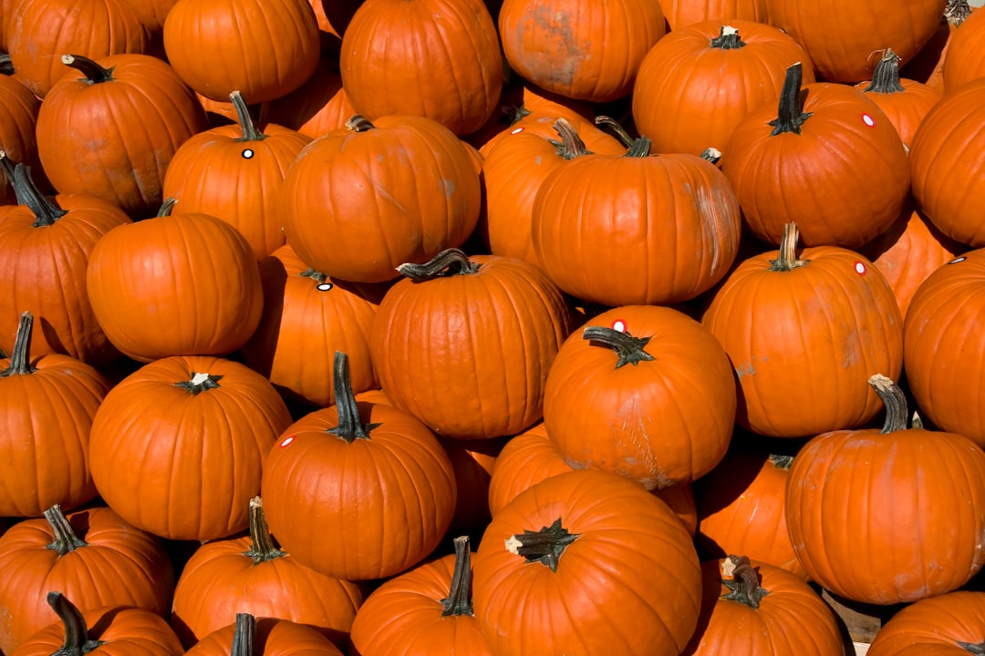 Seasonal Eating Delivers Superior Nutrition (image credits: unsplash)