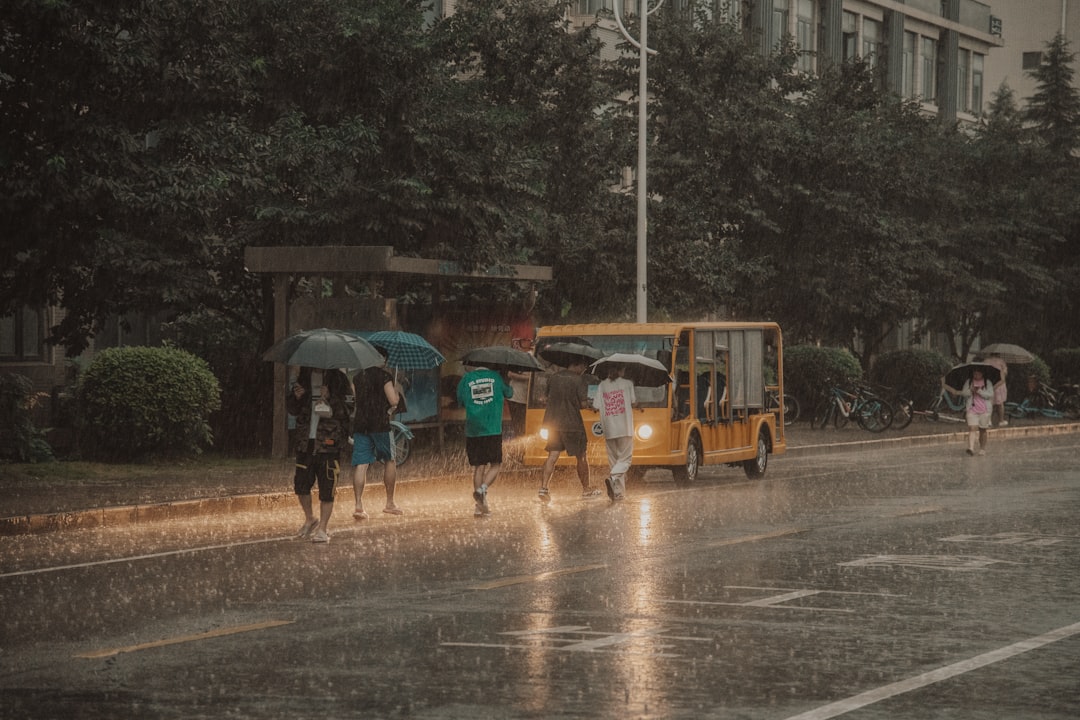 When Clean Air Meets Extreme Weather (image credits: unsplash)