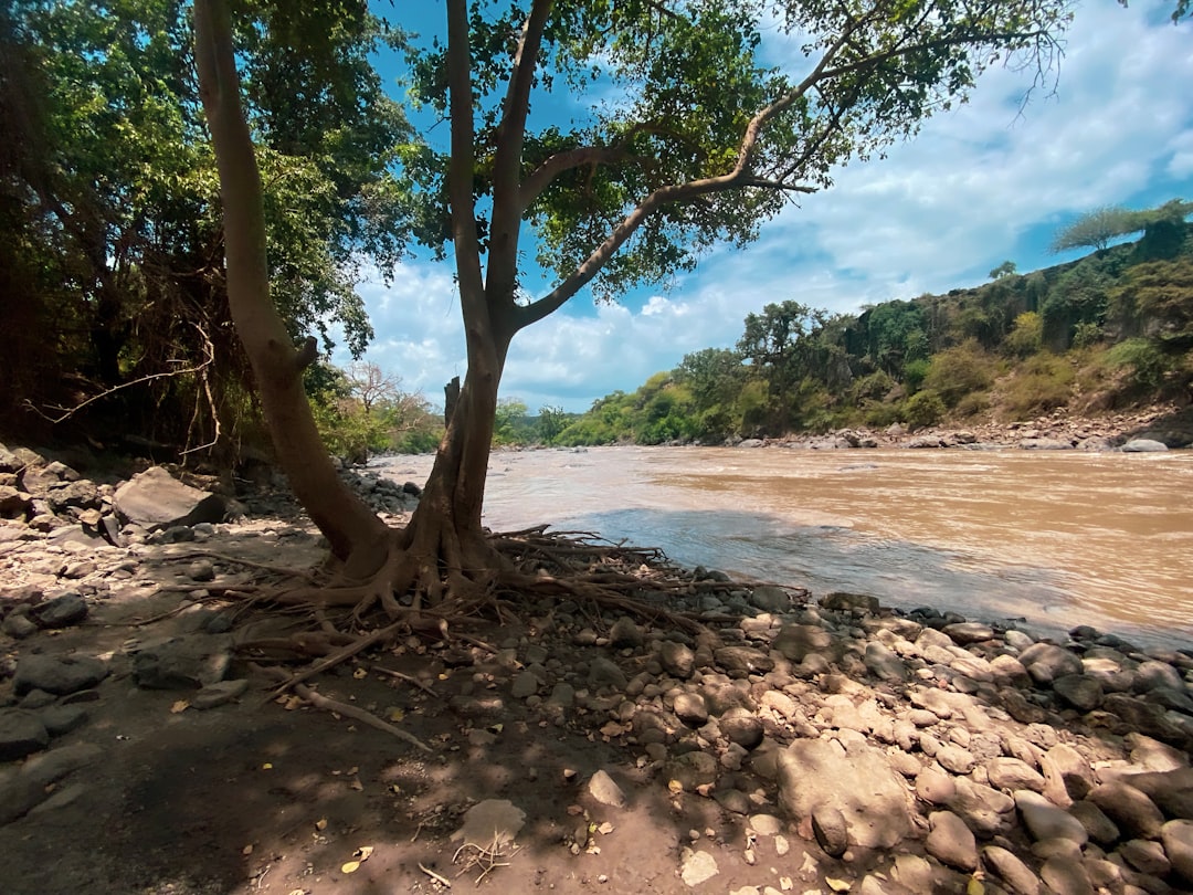 Historic Water Level Extremes Tell Climate Stories (image credits: unsplash)