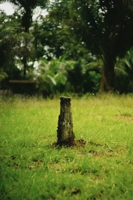 10. Deforestation Suppression as Structural Climate Policy: Brazil's Pledge and What It Means (Image Credits: Pexels)