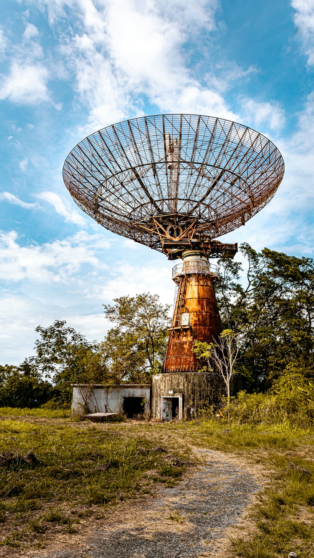 Satellite Confirmation Needed: The Promise and Pitfalls of High-Tech Tracking (image credits: unsplash)
