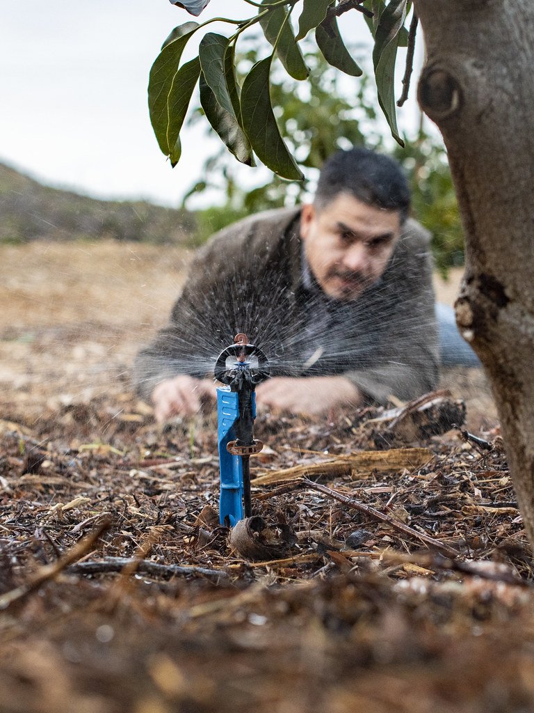 Climate Resilience Through Soil Health (image credits: flickr)