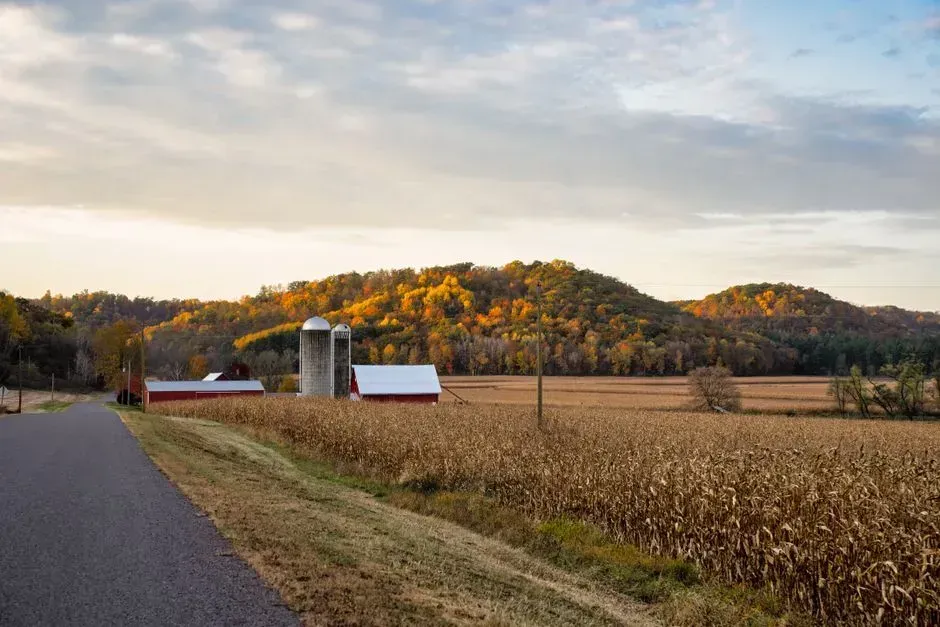 4. Wisconsin (Image Credits: Pexels)