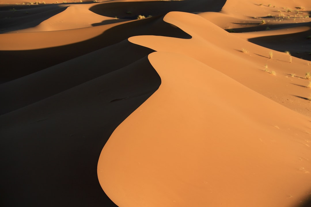 Sahara Desert Rules the Hot Desert World (image credits: unsplash)
