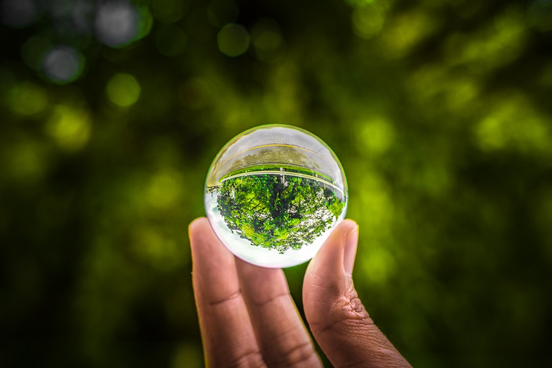 The Future of Honest Sustainability (image credits: unsplash)