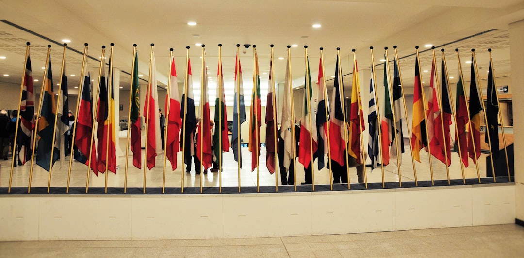International Momentum Builds Despite Skepticism (image credits: unsplash)