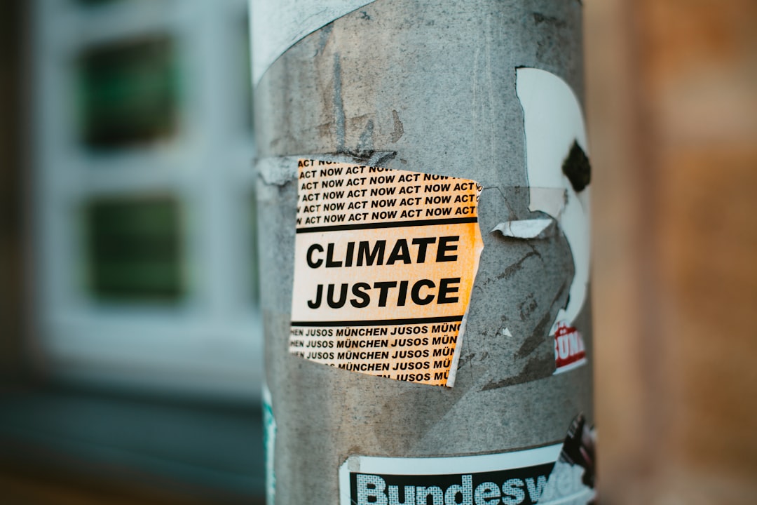 Next Steps and Global Response (image credits: unsplash)