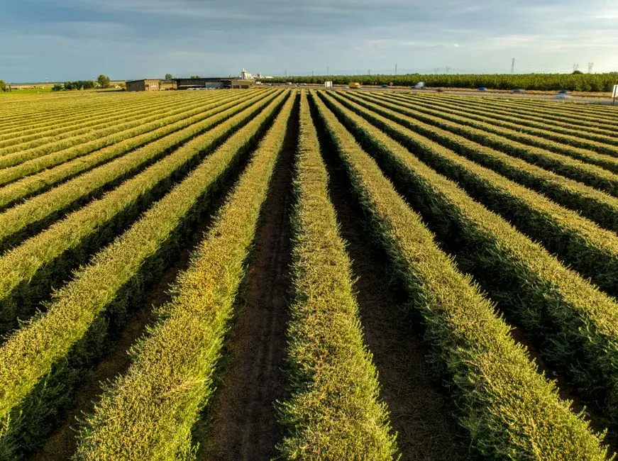 The valley's role as a national food source will likely shrink somewhat, not vanish (Image Credits: Pexels)