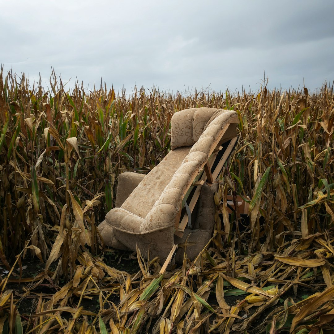 Pesticide Applications Poison Soil Ecosystems (image credits: unsplash)