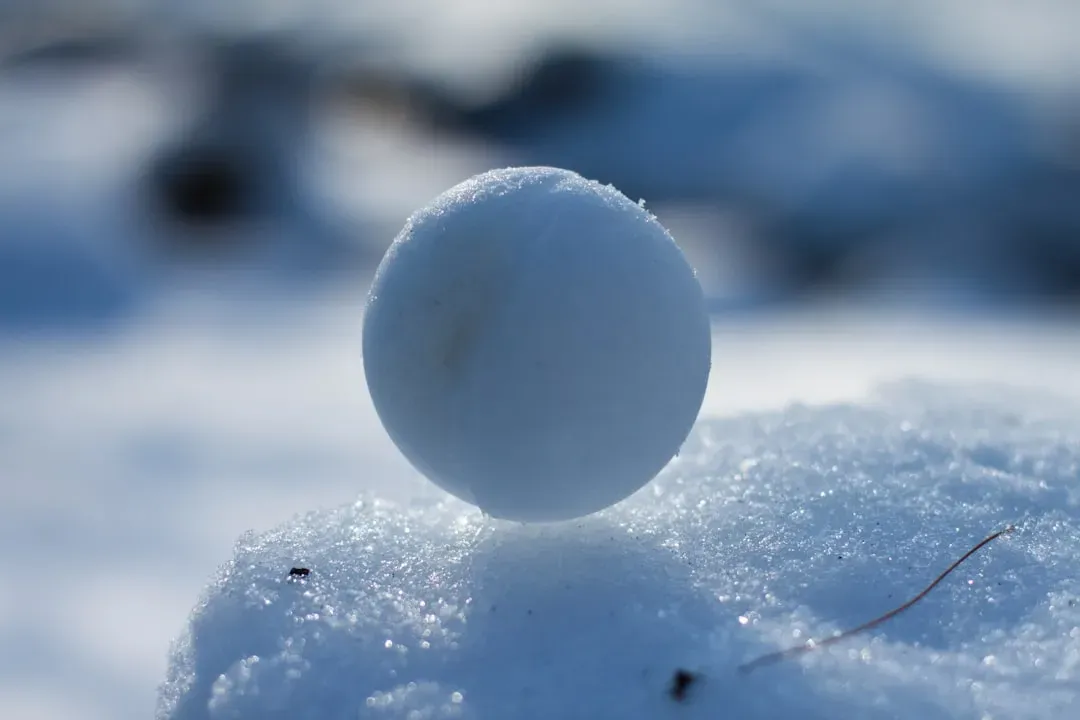 Looking ahead to future winters (Image Credits: Unsplash)