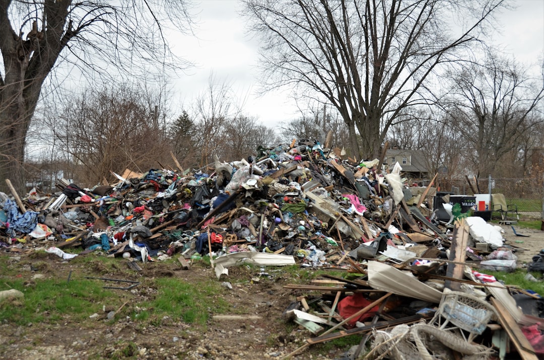 Staggering Louisville Waste Statistics Revealed (image credits: unsplash)