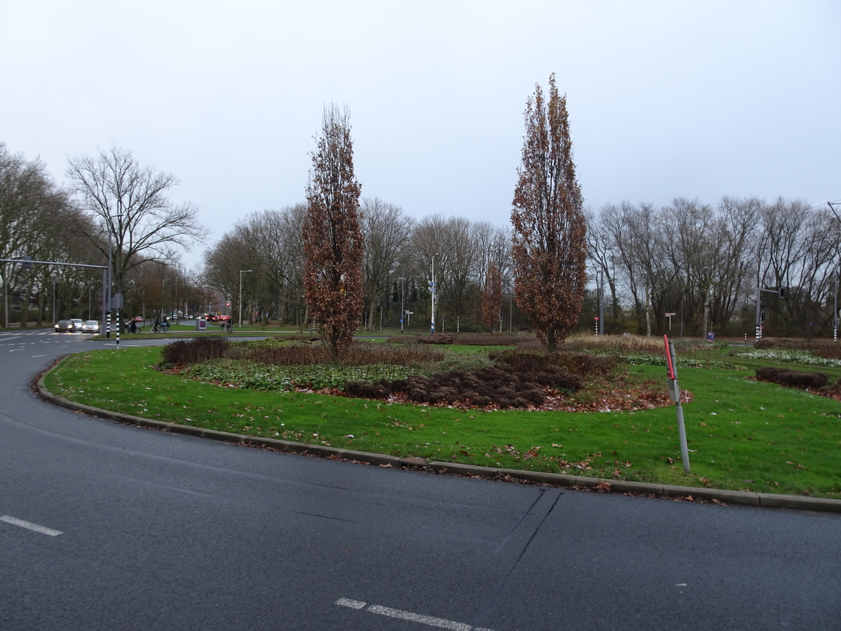 Urban Green Spaces: A Double-Edged Sword (image credits: wikimedia)
