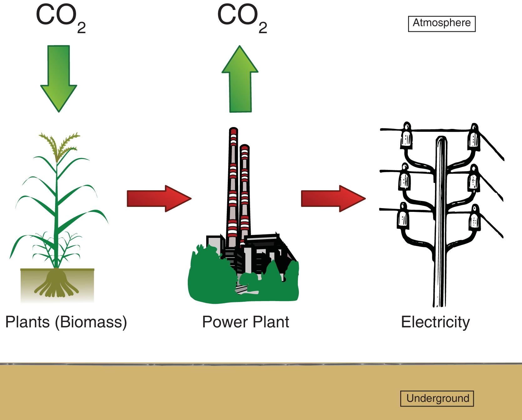 Carbon Capture: Slow Progress, Big Promises (image credits: wikimedia)