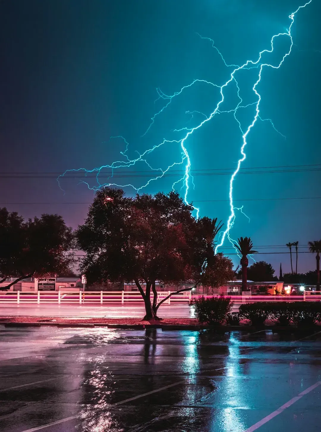 Trees, ground, and natural terrain repeat strikes too (Image Credits: Unsplash)