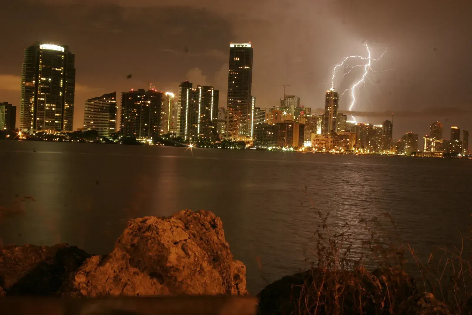 Miami brings tropical intensity into the mix (By bieninformado.com, CC BY-SA 3.0)