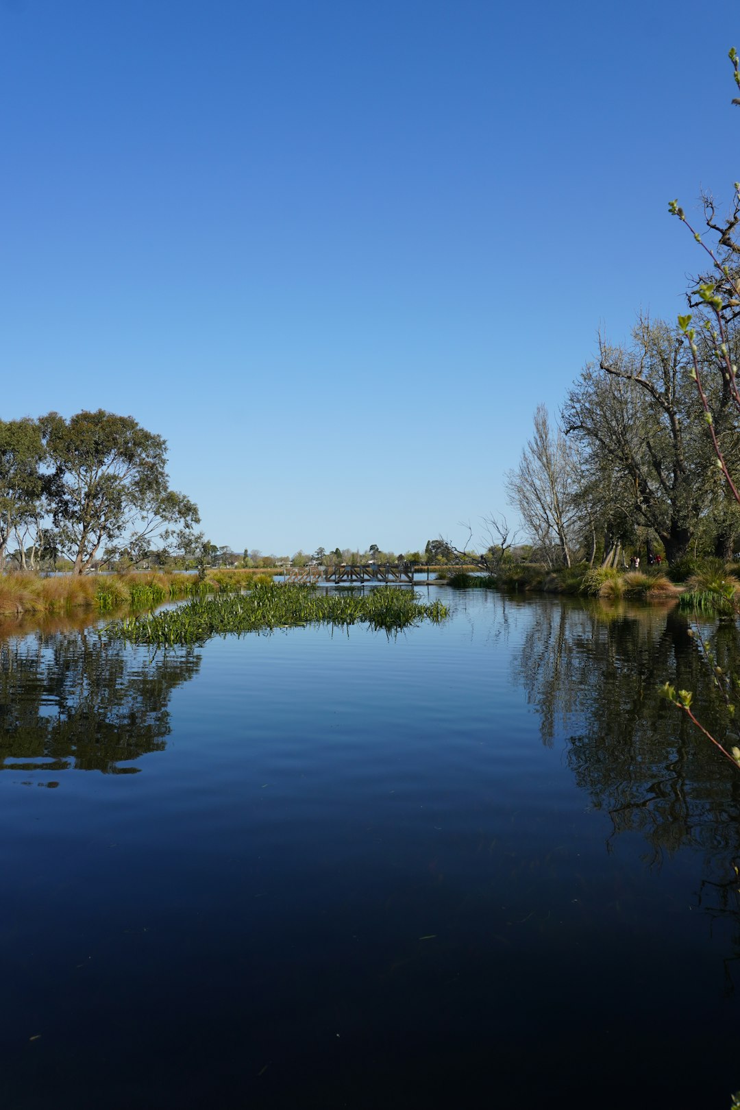 10. Australia - Desert Continent's Water Surprise (image credits: unsplash)