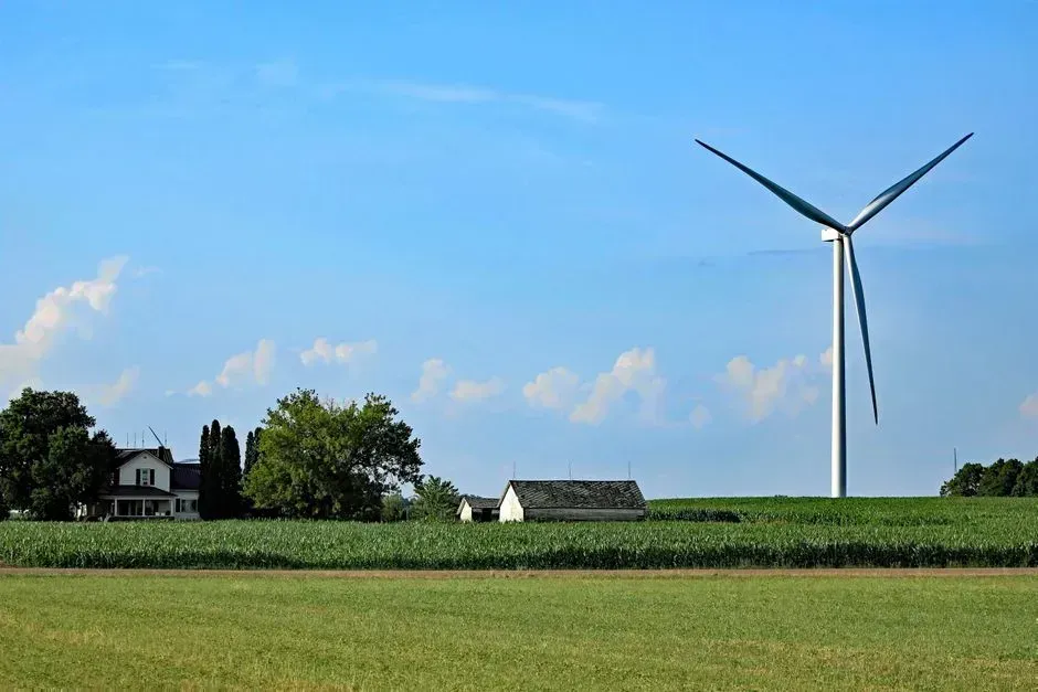 2. Michigan (Image Credits: Pexels)