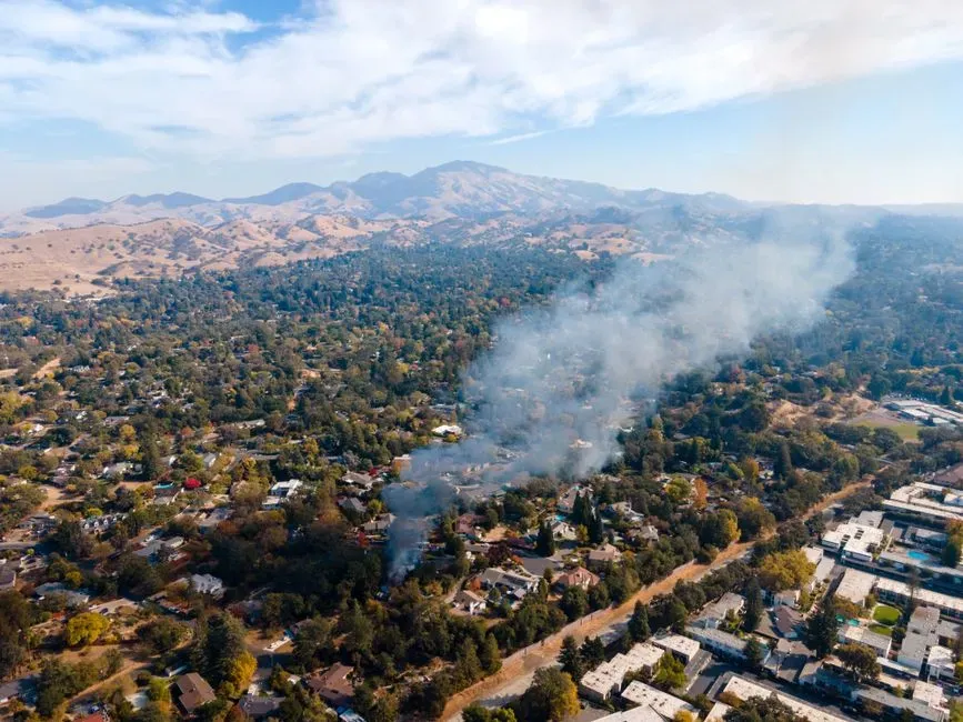 4. Create defensible space and clear flammable debris (Image Credits: Pexels)